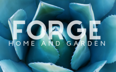 Forge Home and Garden